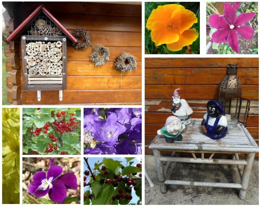 Au Rendez Vous De L'Auxois B&B Essey Exteriér fotografie